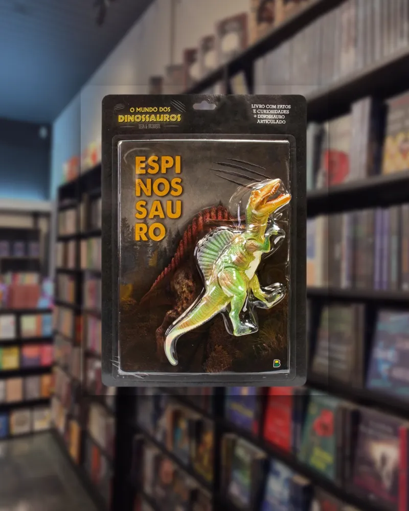Livro está disponível na Livraria Sophia